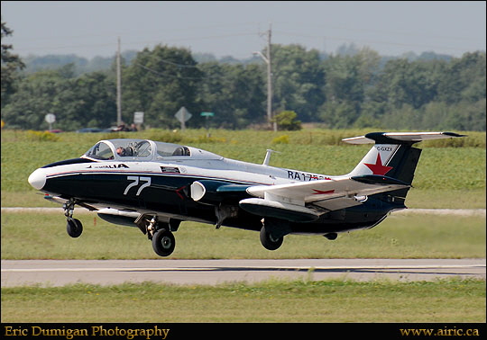 brant2010910243