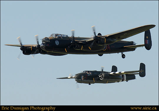 brant2010910928