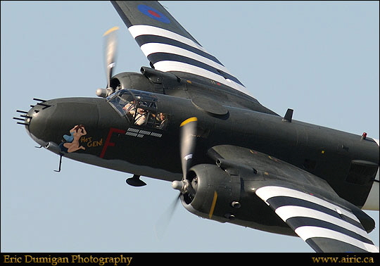 brant2010910982