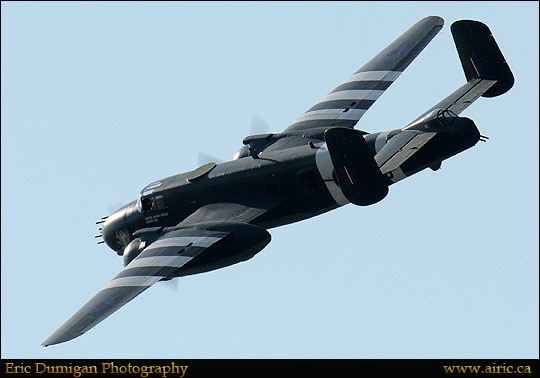 brant2010911043