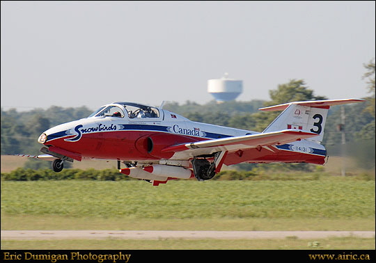 brant2010911385