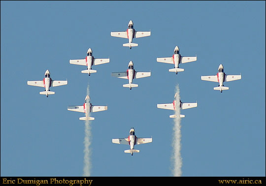 brant2010911477