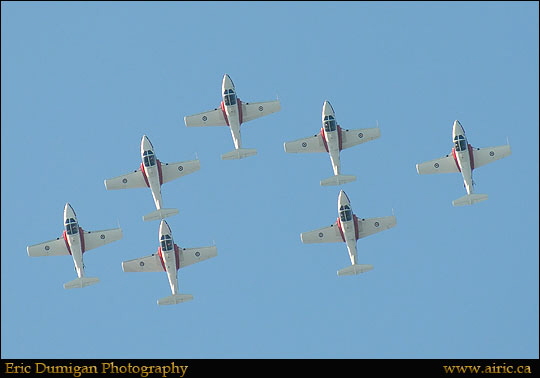 brant2010911669